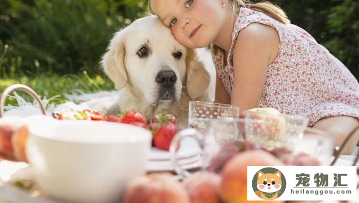 狗狗能够吃桃子吗(狗狗能够吃桃子吗为什么)
