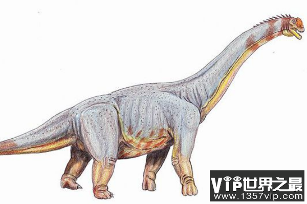 帕拉克西龙：蜥脚下目巨龙类恐龙体型20米/四肢粗壮如大象