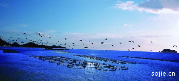 【浙江看海的好地方】浙江看海10大最美海滩推荐