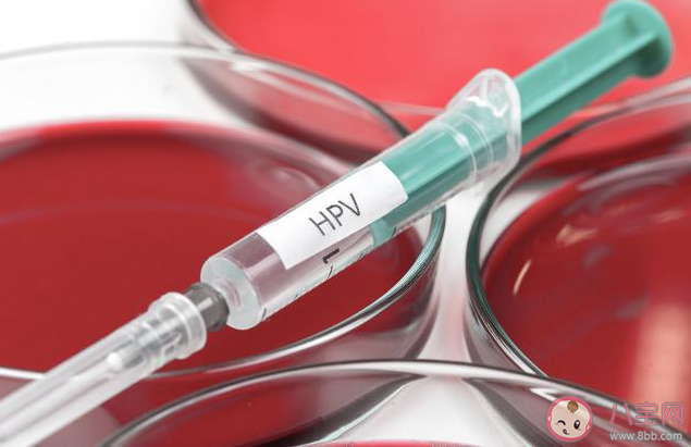 打HPV疫苗后多长时间可以备孕 接种hpv疫苗要等三个月才可以备孕吗