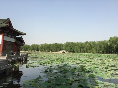 济南自驾游好去处推荐，周末带孩子去的好去处推荐，怎么玩省钱又省心，又不想被坑