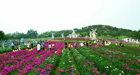 东莞旅游必去十大景点东莞好玩又免费的地方