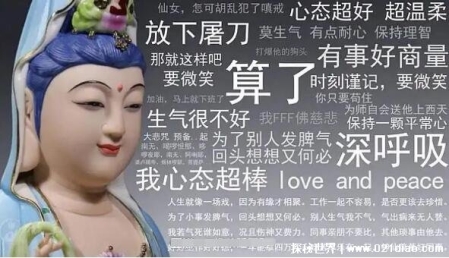 佛系是什么意思?四大皆空六根清净的心态(类似于躺平)