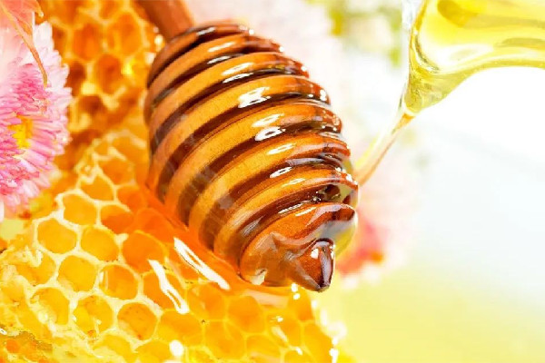 土蜂蜜什么时候喝比较好 土蜂蜜可以早上空腹喝吗