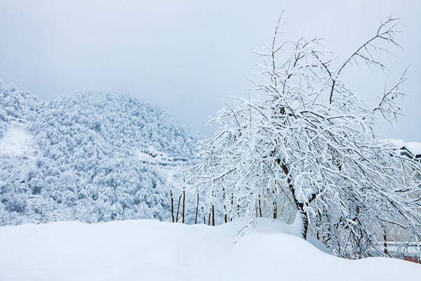 大雪节气是几月几号 大雪节气是什么意思