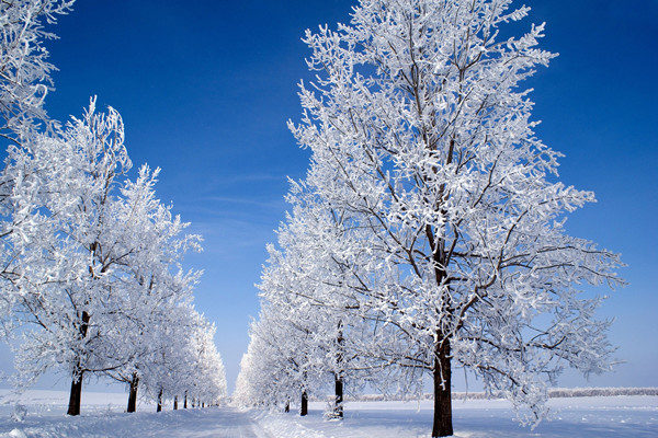 小雪节气是哪一天 小雪节气吃什么保养