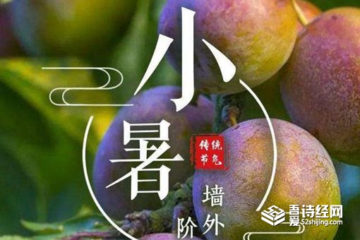 小暑有多热何时入伏?保养怎么做吃什么?