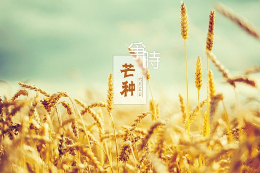 芒种季节的保养食疗介绍