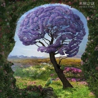 世界上IQ最高的人是谁?人类大脑10大惊天秘密