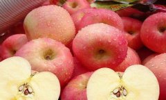 苹果应该早上吃！吃水果讲时间