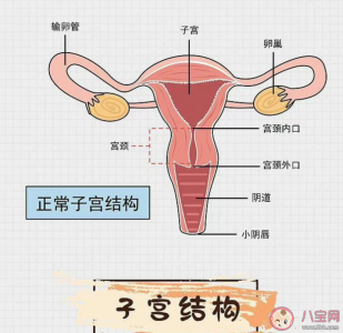 人流后支离破碎的子宫 人流会带来哪些伤害