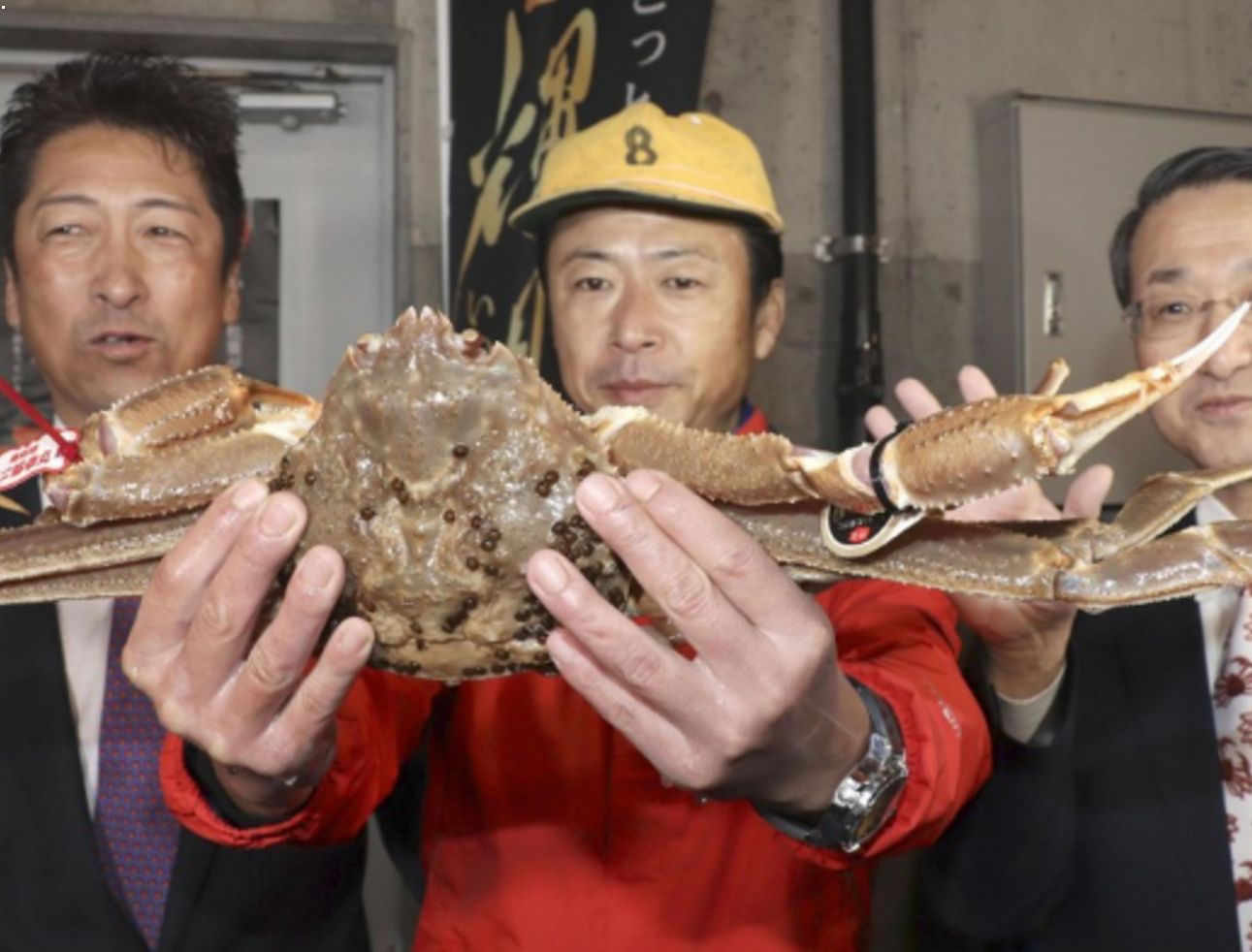 日本可爱文具螃蟹举笔架 螃蟹高举手手帮你分担辛苦