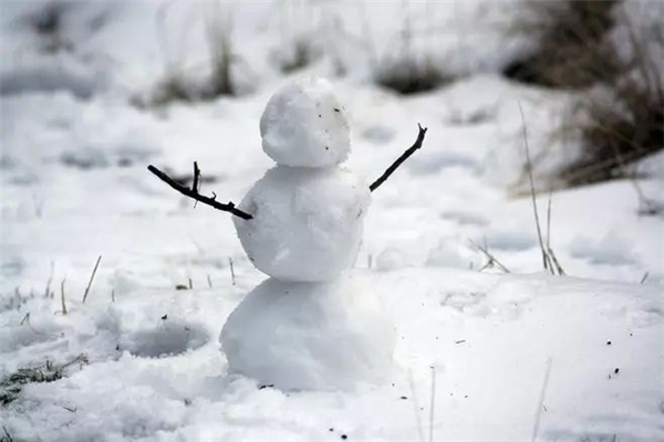 小雪吃什么食物养生 小雪吃什么蔬菜