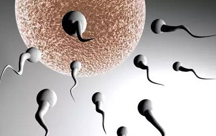 男人精液多好还是少好 男人精液少会影响生育吗