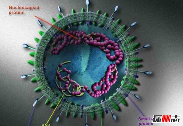 世界十大恐怖病毒 埃博拉可让活人融化惊悚至极