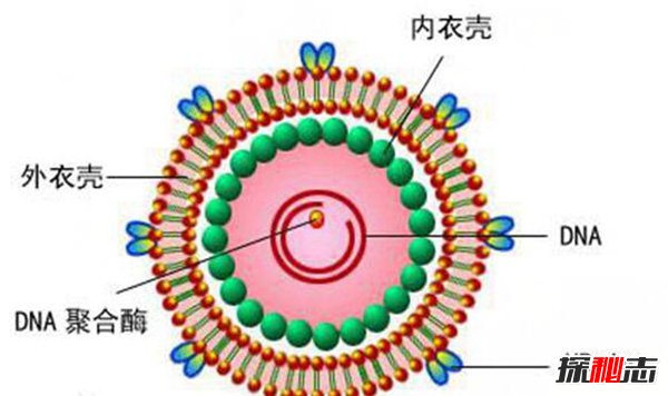 世界十大恐怖病毒 埃博拉可让活人融化惊悚至极