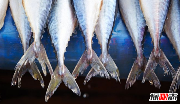 世界上十大吃鱼最多的国家 日本仅排第四 第一出乎意料
