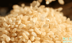 熟糙米和生糙米哪个热量高 糙米减肥效果怎么样