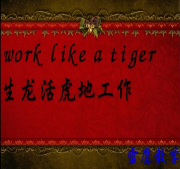 跟老虎相关的英语单词和短语（跟老虎相关的英语单词和短语）(8)