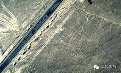 大地巨画之谜：人类的远古文明？