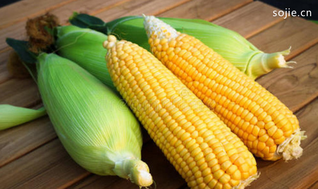 玉米‍