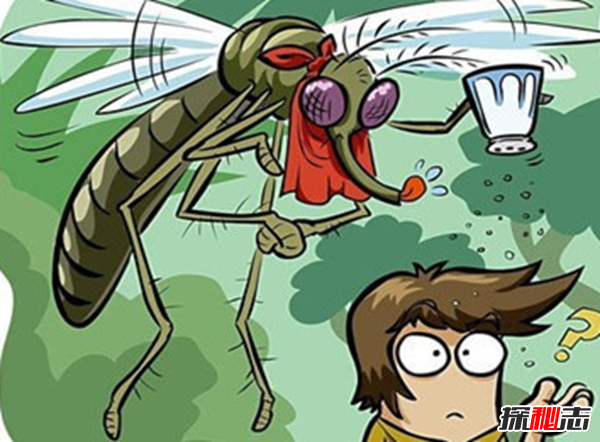 蚊子传播的疾病有哪些 蚊子可以传播的10大疾病 最致命