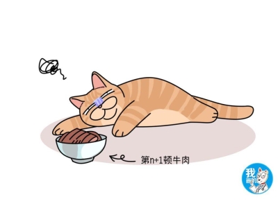 什么是猫癣？猫咪为什么会得猫癣呢？