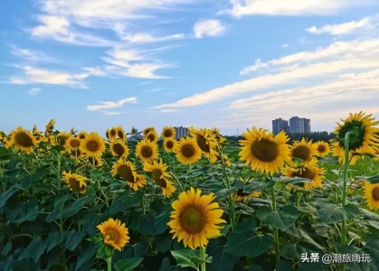 周边好玩的旅游景点推荐浙江最适合亲子游览的景点