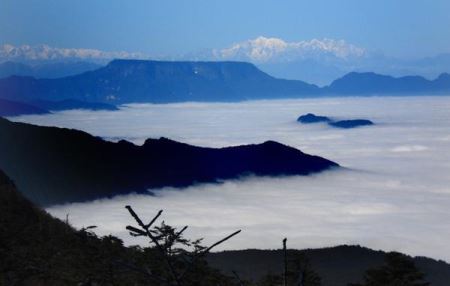 青岛到张家界自驾游沿途不可错过的必打卡景点有哪些