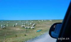 一位广东人的内蒙古大草原旅游美食体验纪实