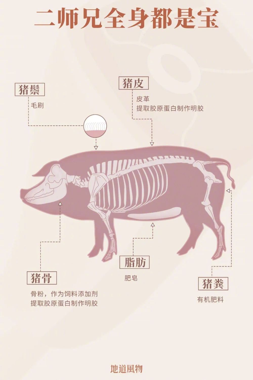 中国哪里人最爱吃猪？前十没有北方省份！