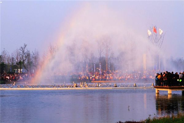 丽水发现全球新物种百山祖角蟾