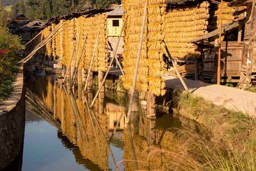 中国奇村700年不外娶,全村人一个姓