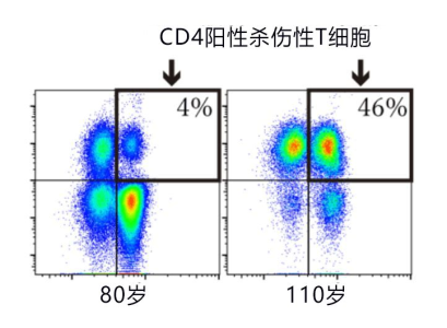 每年有500多万只鸟撞云而亡