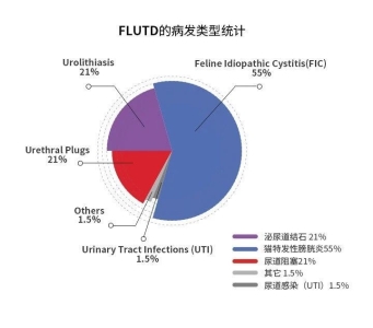 猫咪泌尿系统保健：主人如何挑选适宜猫粮？