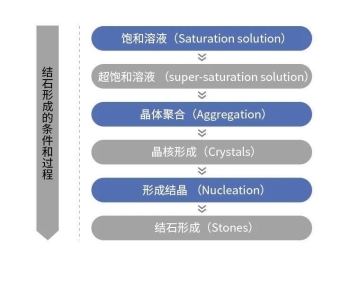 猫咪泌尿系统保健：主人如何挑选适宜猫粮？