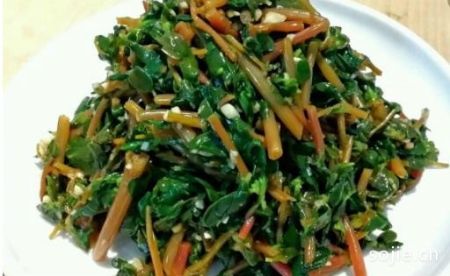 春季养生常吃野菜 健康的野菜菜谱推荐