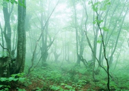 天门山99道弯能自驾吗？最新解答