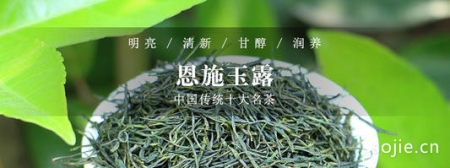 恩施玉露茶