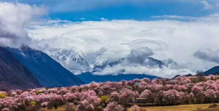 西藏旅游美食攻略篇，去西藏十大必吃的美食