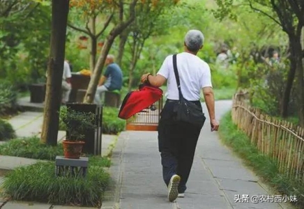 画眉鸟的“四季食谱”来了，值得收藏！（冬季画眉鸟的饲料配方）