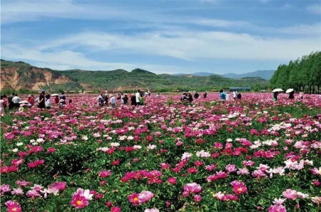 自驾重庆玩什么？图文详解带你看遍山城美景