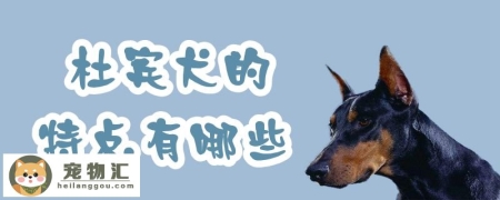 杜宾犬的特点有哪些