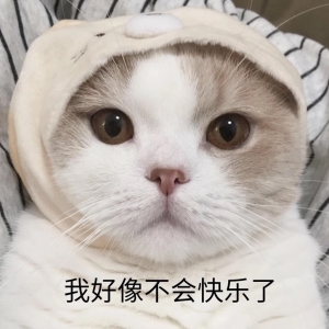 猫咪拉屎很臭怎么办？如何解决这种情况呢？