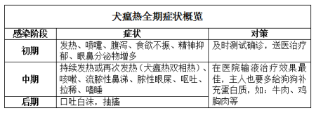 狗狗发烧伴随脓性鼻涕：警惕犬瘟热，及时救治至关重要