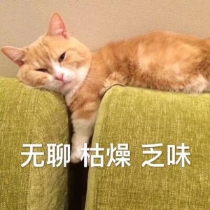 你家猫咪平时会喜欢咬你的手指吗？它是想表达这几件事