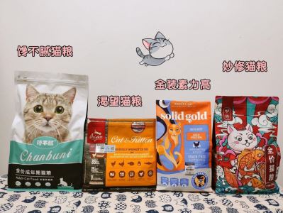 你家猫咪多大绝育的？英短绝育最佳时间是什么时候？