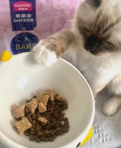 我的母猫如何通过喝鲫鱼汤产奶？试试鲫鱼汤帮助猫咪产奶