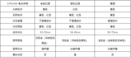 红腿陆龟怎么养？本篇文章告诉你（红腿陆龟如何区分公母图解）