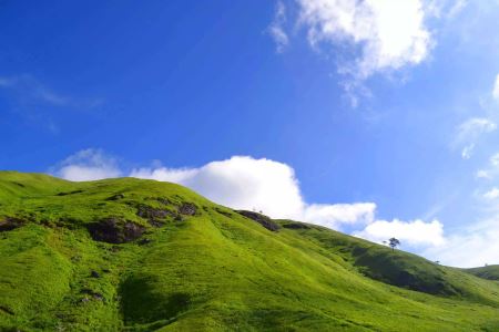 五天自驾游去哪里比较好一点的地方最美风景